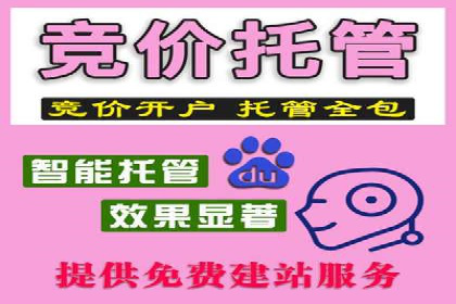 充值高返点的成功之路：多角度案例分析